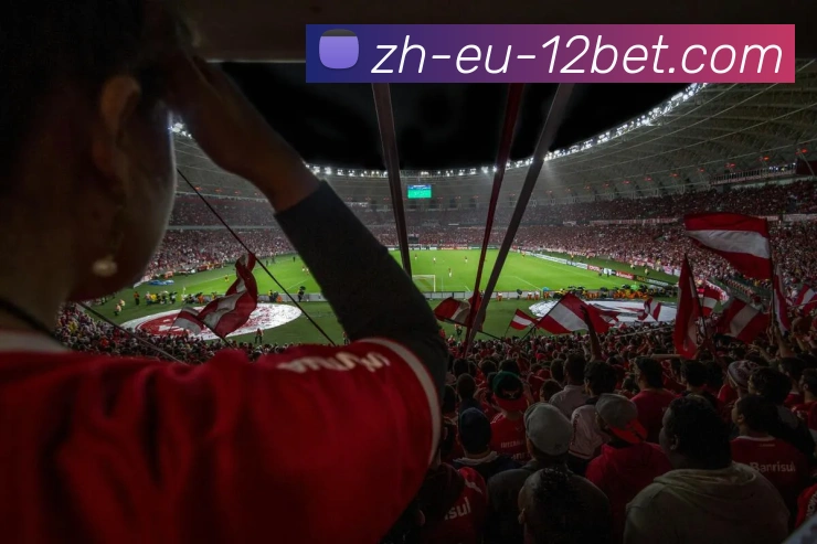 12BET官网APP 封面图